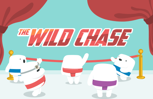 The Wild Chase slot game, exclusively at Casumo