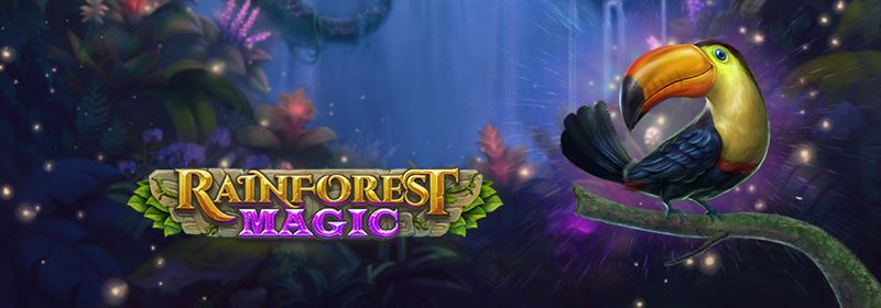 Now live, Play’n Go’s Rainforest Magic slot game