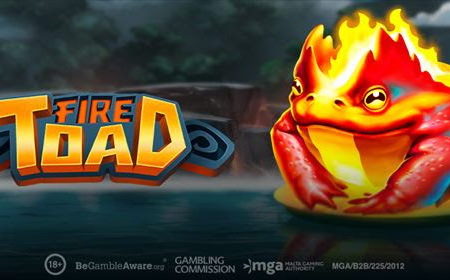 Fire Toad, new 1024 ways slot game