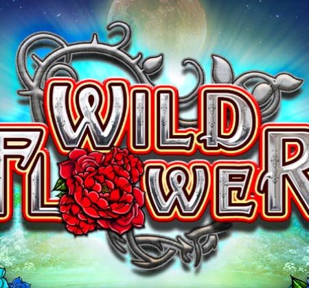 Wild Flower, a new Big Time Gaming hit