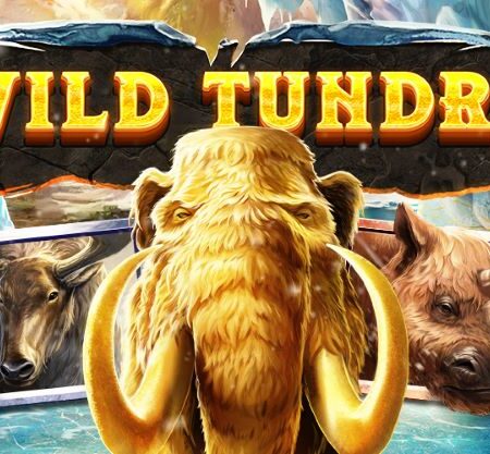 New, Wild Tundra, 1024 ways and increasing multipliers