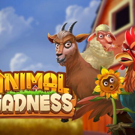 Animal Madness, new cluster pays slot by Play’n Go