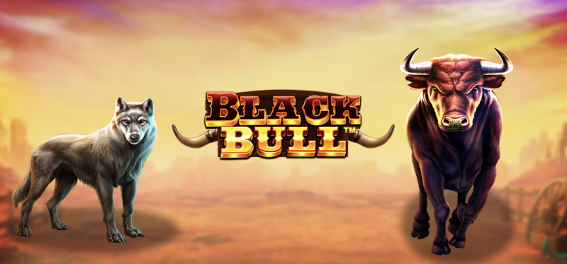 Black Bull, new slot game with collection bonus