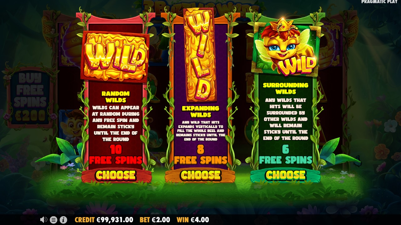 3 Buzzing Wilds, Free spins choices