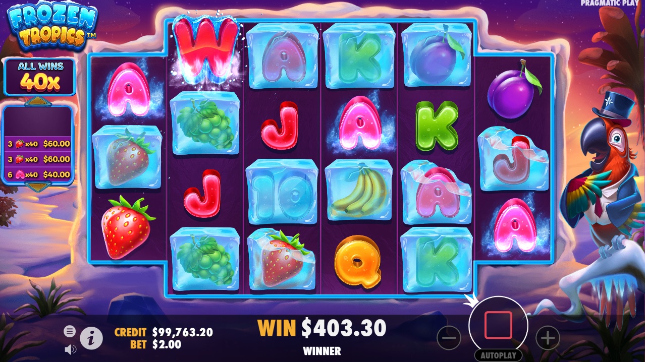 Frozen Tropics, Free spins feature