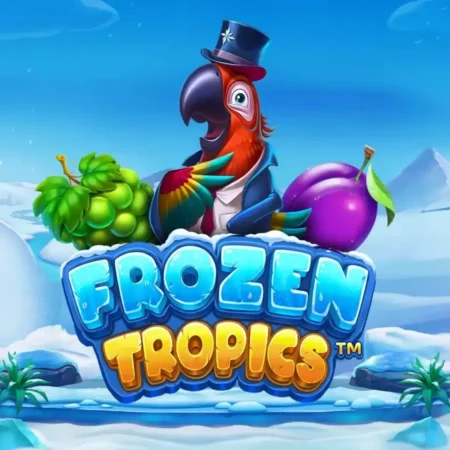 Frozen Tropics, new slot with 2304 ways