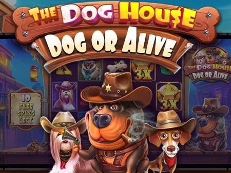 New, The Dog House – Dog or Alive
