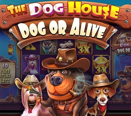 New, The Dog House – Dog or Alive
