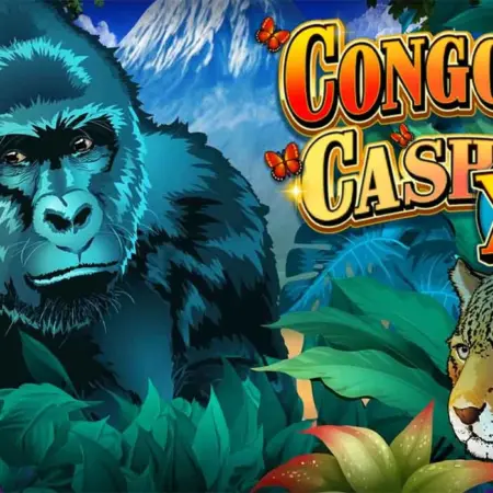 Congo Cash XL, extremer version of original