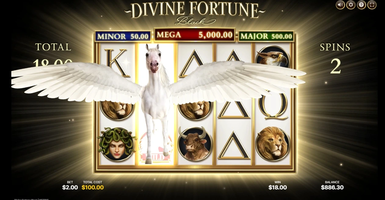 Divine Fortune Black, Divine Spins
