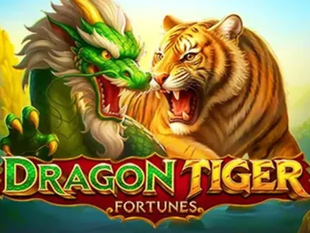 New, Dragon Tiger Fortunes slot game