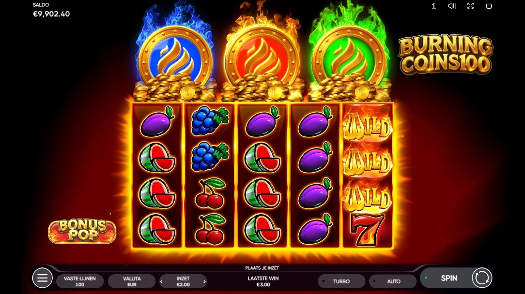 Burning Coins 100, Base reels