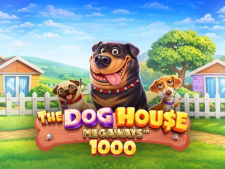 New, The Dog House Megaways 1000